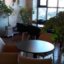 캠토랑커피올레 이미지