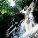 칠연계곡펜션 이미지