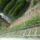 괘법초등학교 이미지