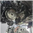 엔비모터스 이미지