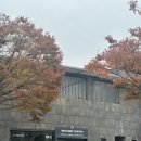 파라다이스스파도고 | 천안아산 글램핑장 1등. 파라다이스 스파 도고 캐빈파크 숙박후기