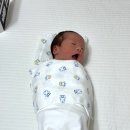 아이린산후조리원 망원점 | 마포구 망원동 아이린산후조리원 리얼 of 리얼 후기(+강서구 미즈메디병원)