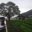 삼대2리마을회관 이미지