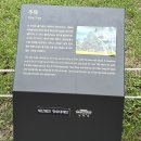 여민관 | 청와대 막차 관람 후기 : 이렇게 좋은 곳을 두고 🔥