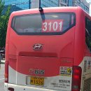 양지-3101 이미지