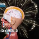신동의보감한의원 네이버블로그