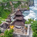유니크투어 네이버블로그
