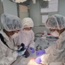 경기도동물위생시험소 | 7월부터 경기도동물위생시험소, ‘수의법의검사’ 시작
