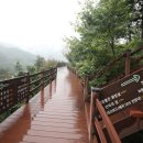 남도버스 이미지