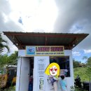 독도세탁 이미지