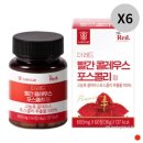 더 칼슘 랩 이미지