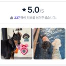 힐링몽 네이버블로그