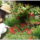 근대역사박물관 이미지