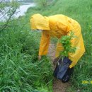 한수중학교 이미지