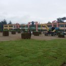 임원초교 이미지