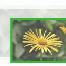 하시온치과의원 이미지