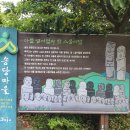 제주이야기 Daum카페