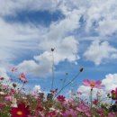 구월4동-3 이미지