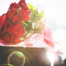 정확한행정사 이미지