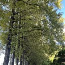 서익산농업협동조합 | (&#39;25.10) 익산 가족여행 1일차 : 아가페정원, 대고하우스