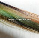(주)오션블루 이미지