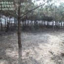 파주6리 경로당 이미지