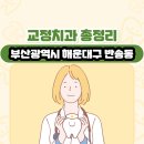 반송동001 이미지