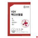 와이디와이