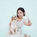 댕댕부엌 네이버블로그
