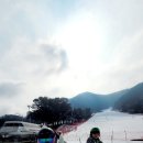 경희대박사 문무태권도장 이미지