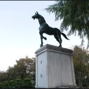 한마므로 이미지