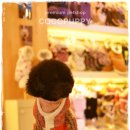 딱지애견샵 이미지