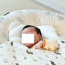 하늘세탁 | 엄몬스아기 허그곰 옆잠베개 내돈내산 두달후기( 솜빼기, 세탁방법)