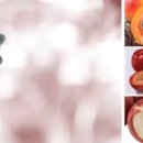 동물병원 WITH-PET 이미지