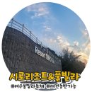 모두의 댕댕이 | 댕댕이와 함께한 환상적인 노을뷰 여수 풀빌라 시로리조트 내돈내산 후기