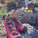 할망꽃쉼팡 민박 이미지