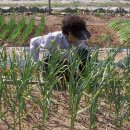 튼튼농장 이미지