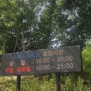 포항 여행 필수 코스! 하늘을 걷는 듯한 스페이스워크 후기