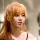 데이터컴백 Daum카페