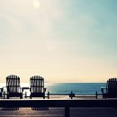 [1급과정] 쥬니어영어코칭지도사 1급 이미지