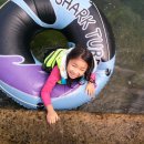 솔치송어파티 이미지