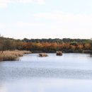 서구드림파크국화축제........25,10,27 이미지