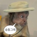 모텔다빈치 | 이태원 다빈치 모텔 팝업 스토어 알바 후기 (올영알바후기2탄)