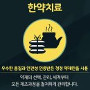 제너지 티스토리