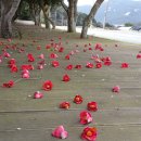 해광민박 이미지