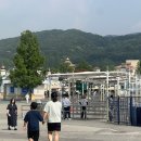 에버라이프 | 평일 에버랜드 오픈런 후기