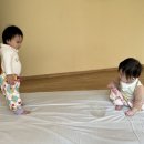 소희문구사