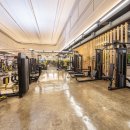 스파월드짐 이미지