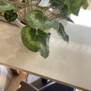 폴조로스터리앳업타운 이미지