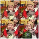 상상홀릭 | 제주 애월 실내 놀거리, 7개월 아기와 제주홀릭뮤지엄 내돈내산 방문 후기(아기띠 이용!)